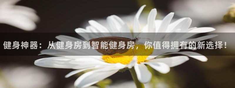 凯捷体育官方平台
