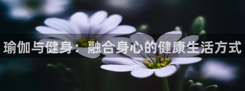 凯捷体育招商