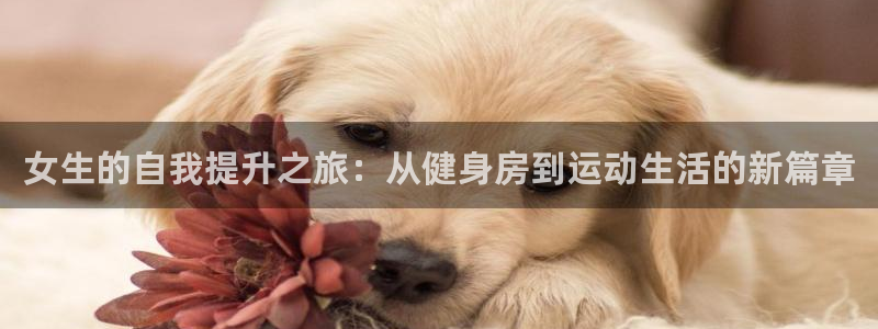 凯捷体育平台