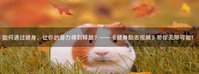 凯捷体育官方网站