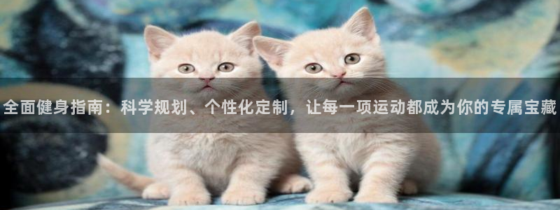 凯捷体育娱乐