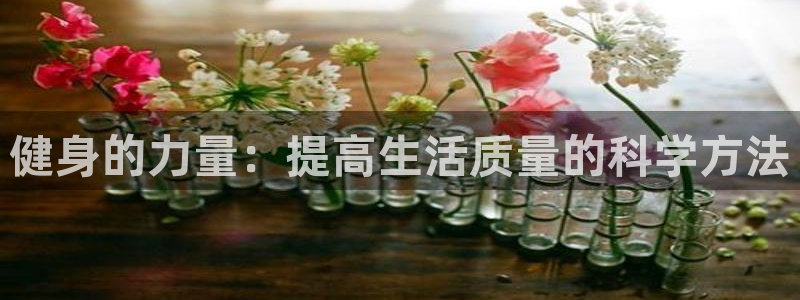 凯捷体育代理