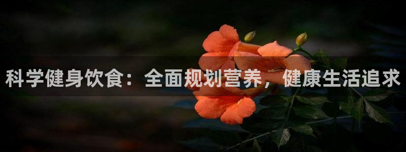 凯捷体育官方网站