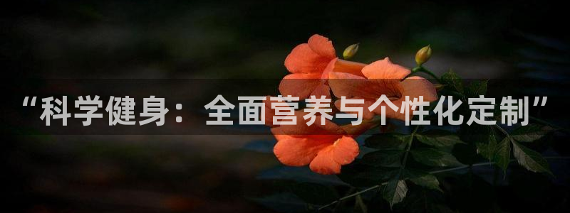凯捷体育代理