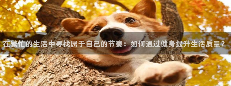 凯捷体育代理