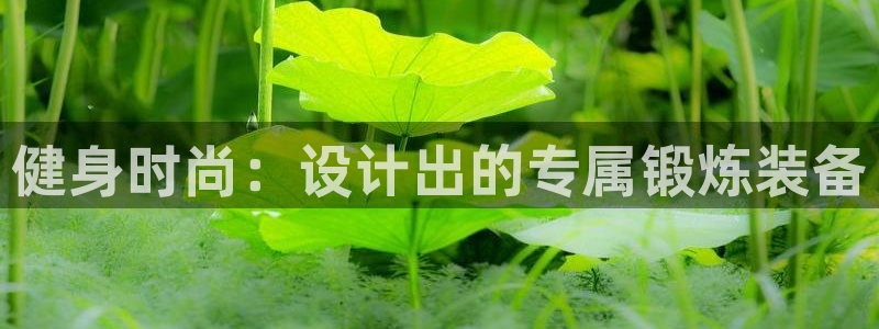 凯捷体育平台