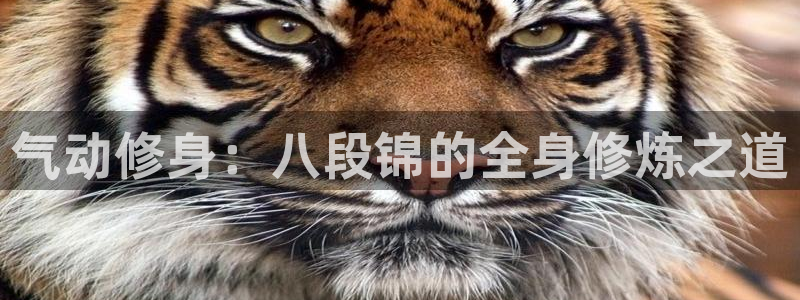 凯捷体育招商